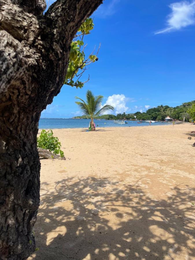 Appartement Vue Mer A 2 Minutes A Pied Des Plages Tartane La Trinité Eksteriør bilde