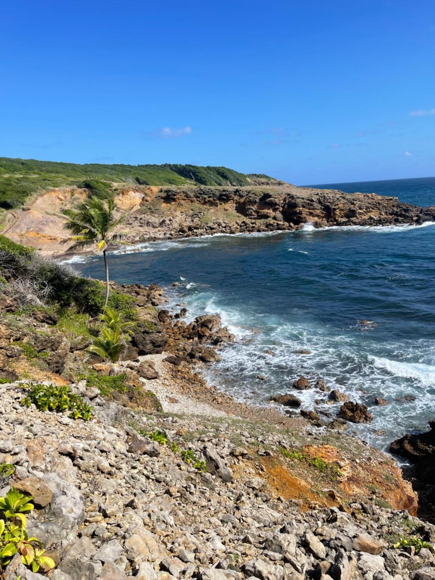 Appartement Vue Mer A 2 Minutes A Pied Des Plages Tartane La Trinité Eksteriør bilde